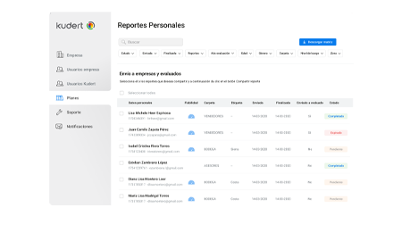 Reportes personalizados- 